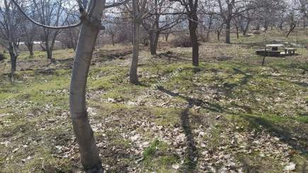 Kayseri Develi Güneyaşagı Mah Satlık Bahçe 5