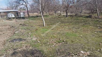 Kayseri Develi Güneyaşagı Mah Satlık Bahçe 3