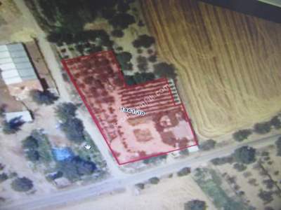 Kayseri Develi Güneyaşagı Mah Satlık Elma Bahçesi Bağ 2