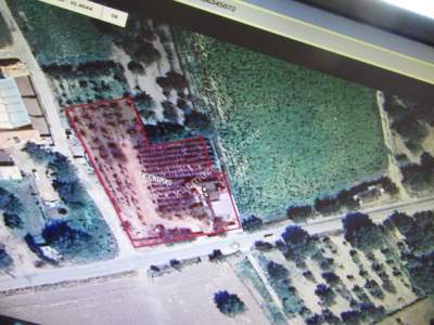 Kayseri Develi Güneyaşagı Mah Satlık Elma Bahçesi Bağ 3