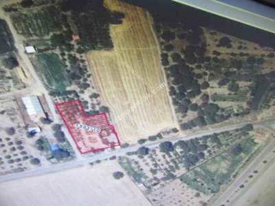 Kayseri Develi Güneyaşagı Mah Satlık Elma Bahçesi Bağ 1