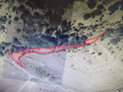 Kayseri Develi Güneyaşağı Maha Satlık Bahçe