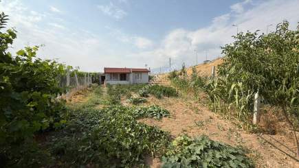 Kayseri Develi Satılık Bağ Evi 6