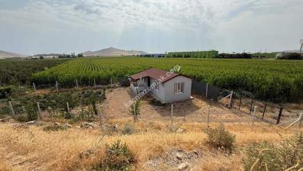 Kayseri Develi Satılık Bağ Evi 5