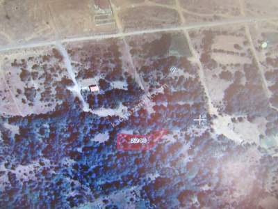 Develi Zile Mah. Bağ 1