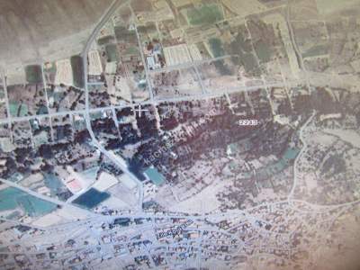 Develi Zile Mah. Bağ 2