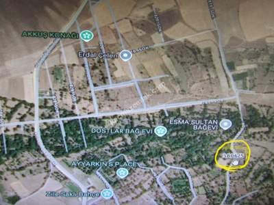 Kayseri Develi Zile Mah Satlık Bahçe 4