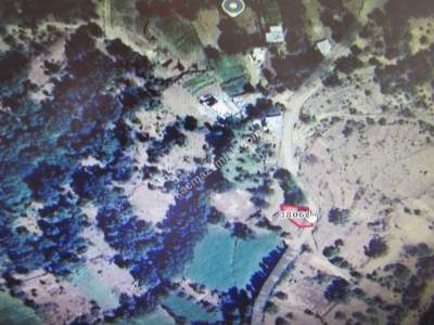 Kayseri Develi Zile Mah Satlık Bahçe 8