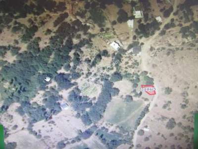 Kayseri Develi Zile Mah Satlık Bahçe 2