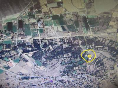 Kayseri Develi Zile Mah Satlık Bahçe 5