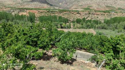 Konya Hadim Bademlide Satılık Arsa 2