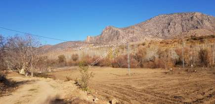 Konya Hadim Bademlide Satılık Arsa 16