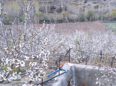 Konya Hadim Bademlide Satılık Arsa 15