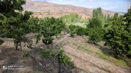 Konya Hadim Bademlide Satılık Arsa 4