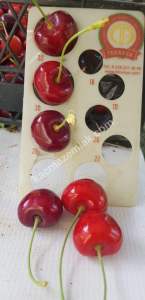 Konya Hadim Bademlide Satılık Arsa 11