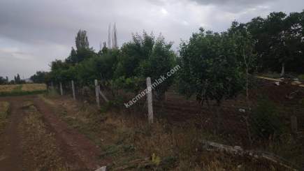 Konya Meram Karahüyük De 670 M2 Bahçe 5