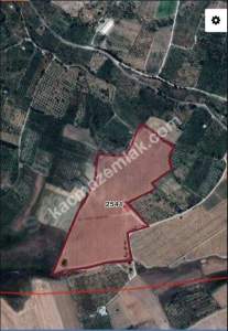 Niğde Çamardı Bademdere Satılık 76.00M2 Elma Bahçesi 1