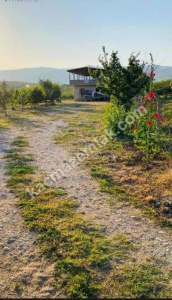 Niğde Çamardı Bademdere Satılık 76.00M2 Elma Bahçesi 9