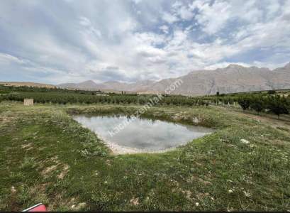 Niğde Çamardı Bademdere Satılık 76.00M2 Elma Bahçesi 8