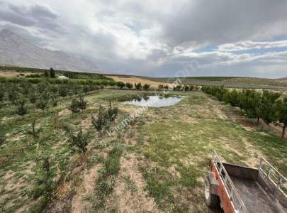 Niğde Çamardı Bademdere Satılık 76.00M2 Elma Bahçesi 7