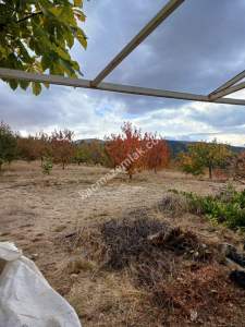 Niğde,Ulukışla,Kılan Yaylası Satılık Bahçe 1