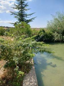 Niğde,Ulukışla,Kılan Yaylası Satılık Bahçe 14