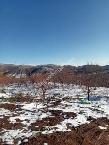 Niğde,Ulukışla,Kılan Yaylası Satılık Bahçe 8