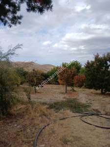 Niğde,Ulukışla,Kılan Yaylası Satılık Bahçe 3