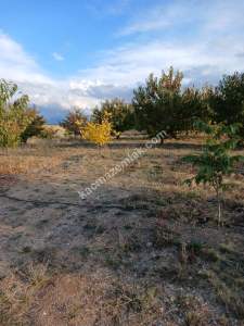 Niğde,Ulukışla,Kılan Yaylası Satılık Bahçe 5