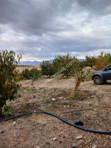 Niğde,Ulukışla,Kılan Yaylası Satılık Bahçe 2