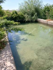 Niğde,Ulukışla,Kılan Yaylası Satılık Bahçe 9