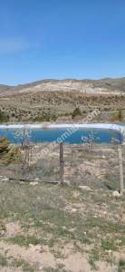 Niğde,Ulukışla,Kılan Yaylası Satılık Bahçe 10