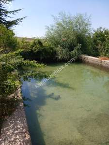 Niğde,Ulukışla,Kılan Yaylası Satılık Bahçe 13