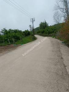 Fatsa Ayazlı Mah Satılık Arsa 3