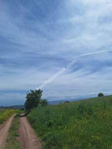 Sakarya Adapazarı Kayrancık 'Ta Satılık Yatırımlık Tar 6