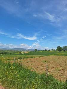 Sakarya Adapazarı Kayrancık 'Ta Satılık Yatırımlık Tar 5