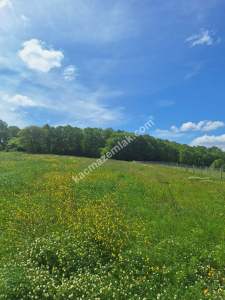 Sakarya Adapazarı Kayrancık 'Ta Satılık Yatırımlık Tar 3