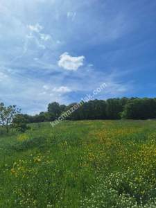 Sakarya Adapazarı Kayrancık 'Ta Satılık Yatırımlık Tar 7