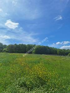 Sakarya Adapazarı Kayrancık 'Ta Satılık Yatırımlık Tar 8