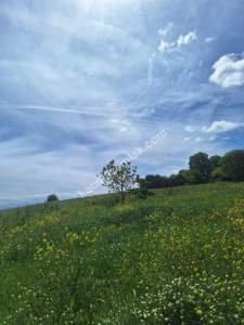 Sakarya Adapazarı Kayrancık 'Ta Satılık Yatırımlık Tar 4