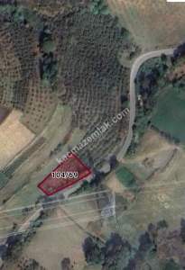 Sakarya Kaynarca' Da Ana Yola Fırsat Satılık Fındıklı