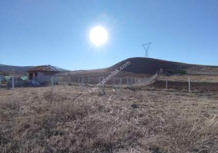 Sivas Satılık Bağ-Bahçe İşhan Hobi Bahçesi 300M2 16