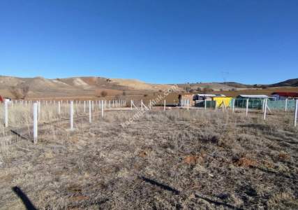 Sivas Satılık Bağ-Bahçe İşhan Hobi Bahçesi 300M2 14