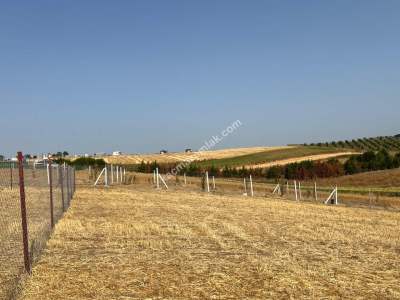 Deniz Manzaralı Köy İçerisinde Hobi Bahçesi 5