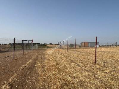 Deniz Manzaralı Köy İçerisinde Hobi Bahçesi 6