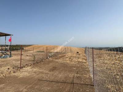 Deniz Manzaralı Köy İçerisinde Hobi Bahçesi 4