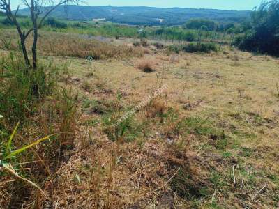 Tekirdağ Şarköy Gölcük Mahallesi Satılık Bahçe 5