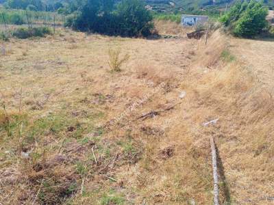 Tekirdağ Şarköy Gölcük Mahallesi Satılık Bahçe 6