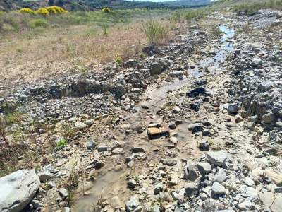 Tekirdağ Şarköy Hoşköy Mahallesi Satılık Tarla Bahçe 11