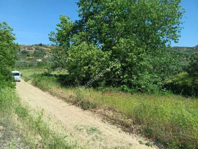 Tekirdağ Şarköy Hoşköy Mahallesi Satılık Tarla Bahçe 1